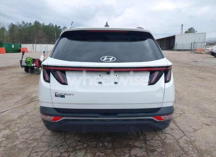 Photo 17 of 2023 Hyundai Tucson SEL (VIN 5NMJF3AE4PH257882)