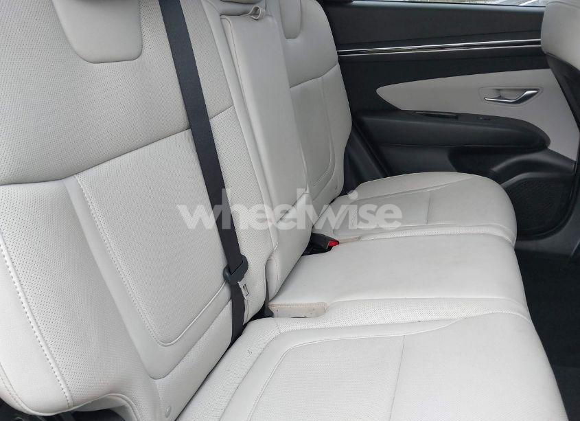 Photo 8 of 2023 Hyundai Tucson SEL (VIN 5NMJF3AE4PH257882)
