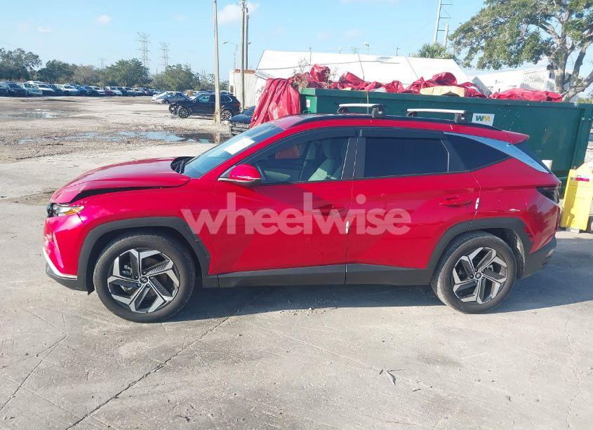 Photo 14 of 2023 Hyundai Tucson SEL (VIN 5NMJF3AE6PH178004)