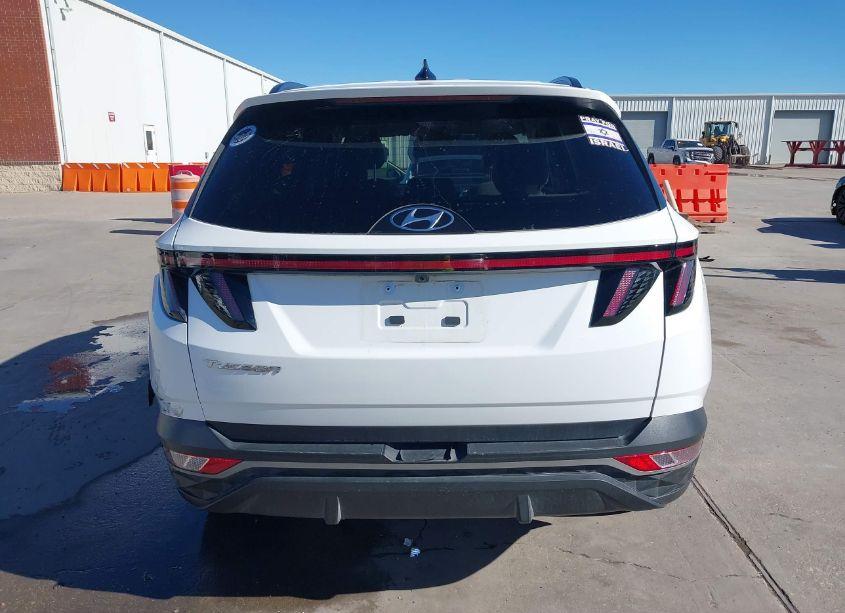 Photo 16 of 2023 Hyundai Tucson SEL (VIN 5NMJF3AE7PH196222)