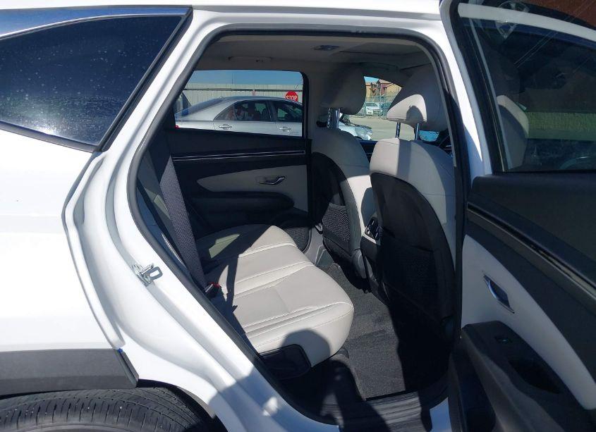 Photo 8 of 2023 Hyundai Tucson SEL (VIN 5NMJF3AE7PH196222)