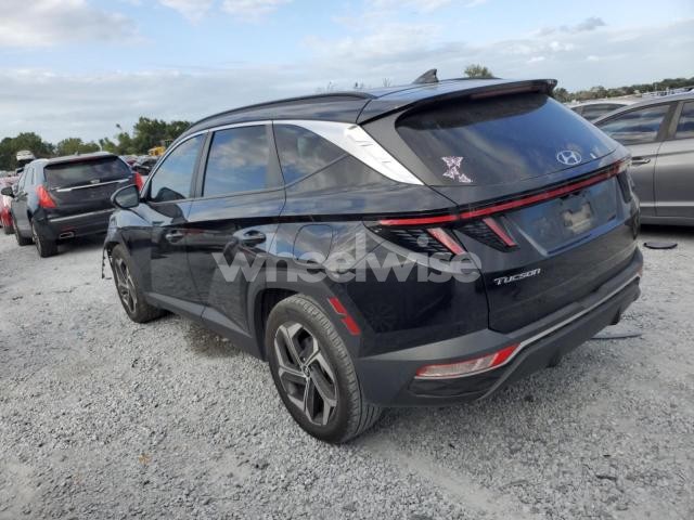 Photo 13 of 2023 HYUNDAI TUCSON SEL (VIN 5NMJF3AE7PH252840)