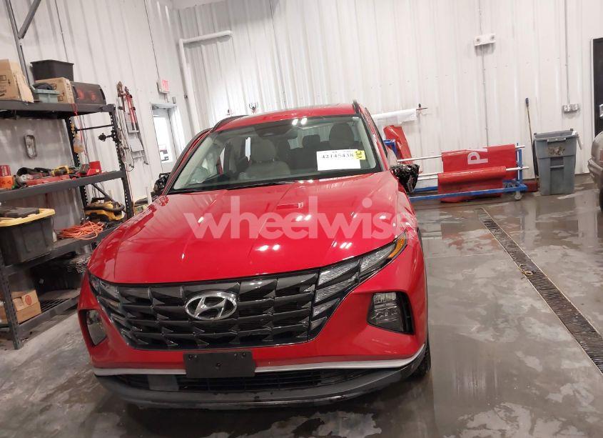 Photo 13 of 2023 Hyundai Tucson SEL (VIN 5NMJF3AE8PH186380)