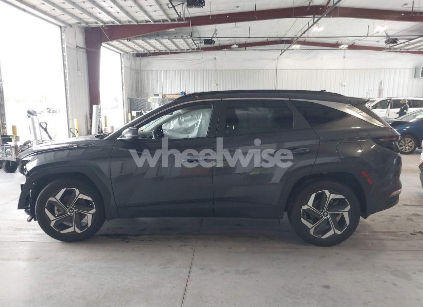 Photo 15 of 2023 Hyundai Tucson SEL (VIN 5NMJF3AEXPH236115)