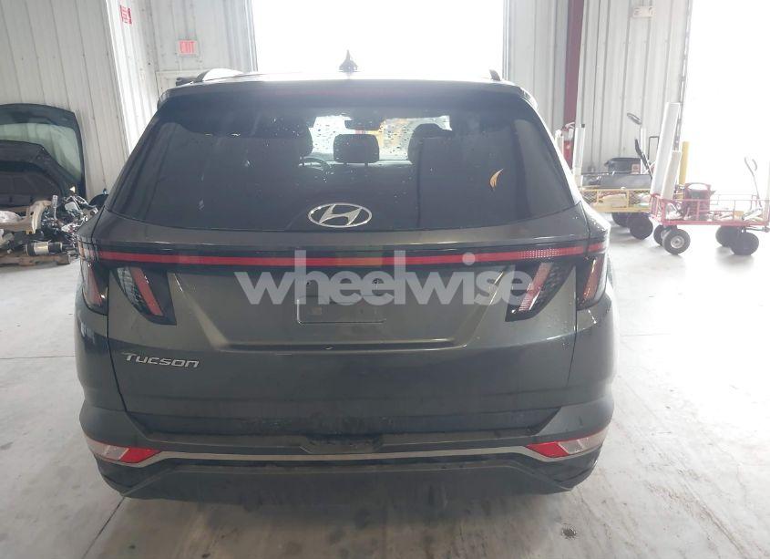 Photo 17 of 2023 Hyundai Tucson SEL (VIN 5NMJF3AEXPH236115)