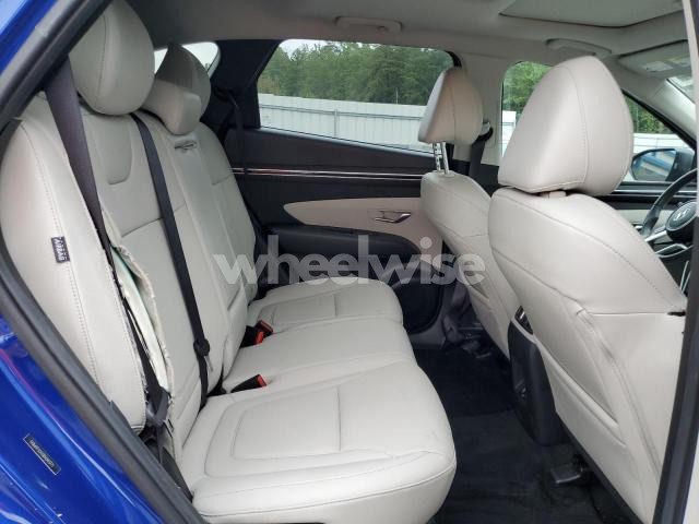 Photo 10 of 2024 HYUNDAI TUCSON SEL (VIN 5NMJF3DE0RH343771)