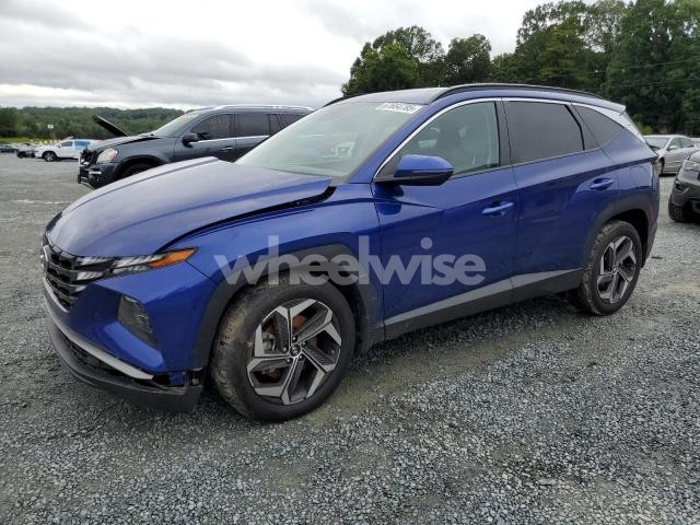 Photo 8 of 2024 HYUNDAI TUCSON SEL (VIN 5NMJF3DE0RH343771)