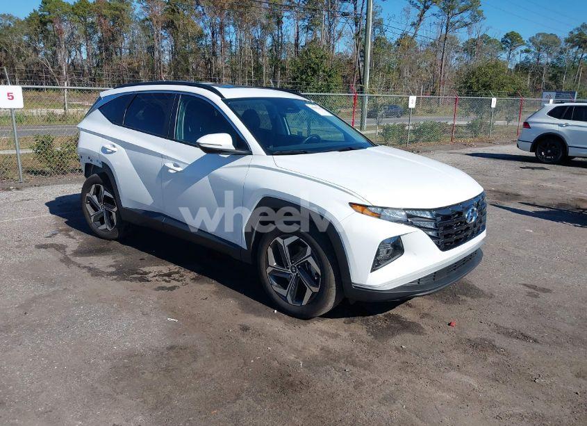 2024 Hyundai Tucson SEL (VIN 5NMJF3DE0RH374647) main photo