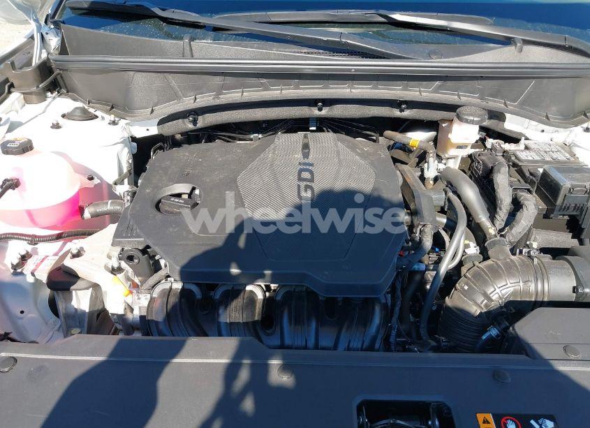 Photo 10 of 2024 Hyundai Tucson SEL (VIN 5NMJF3DE0RH374647)