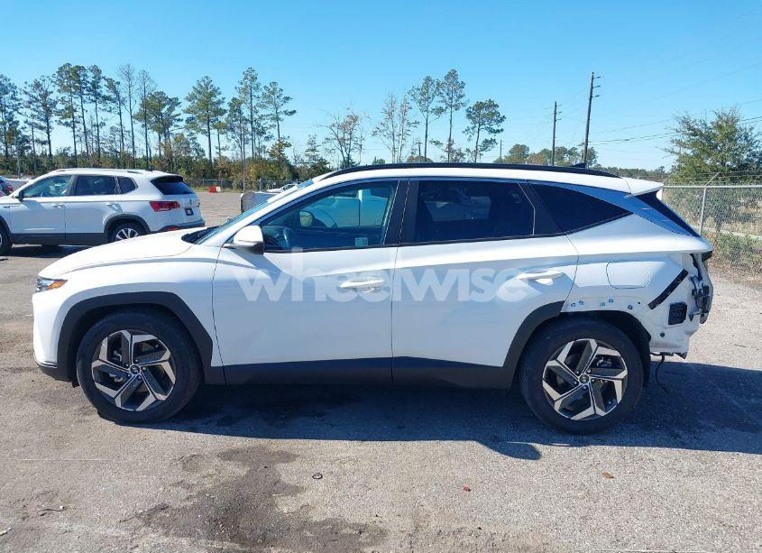 Photo 15 of 2024 Hyundai Tucson SEL (VIN 5NMJF3DE0RH374647)