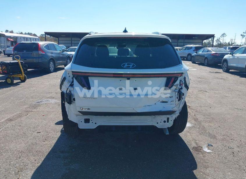 Photo 17 of 2024 Hyundai Tucson SEL (VIN 5NMJF3DE0RH374647)
