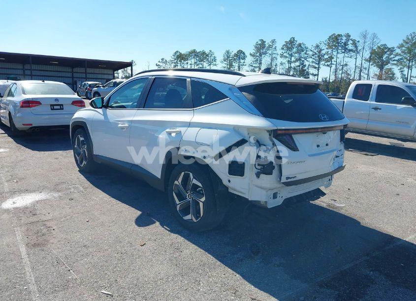 Photo 3 of 2024 Hyundai Tucson SEL (VIN 5NMJF3DE0RH374647)