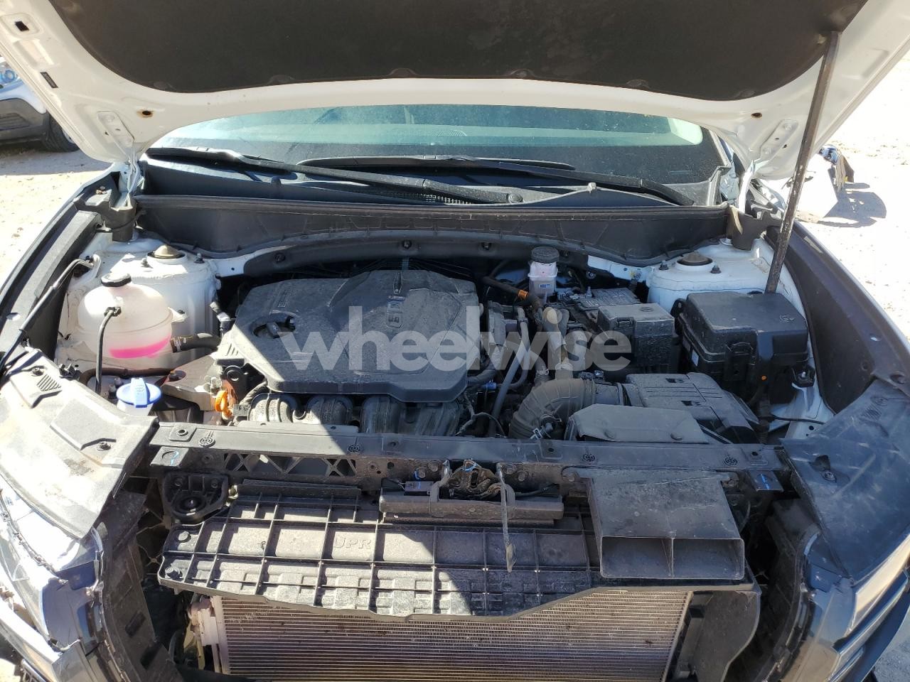 Photo 12 of 2024 HYUNDAI TUCSON SEL (VIN 5NMJF3DE1RH399444)