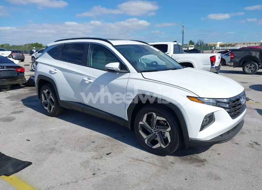 2024 Hyundai Tucson SEL (VIN 5NMJF3DE1RH403203) main photo