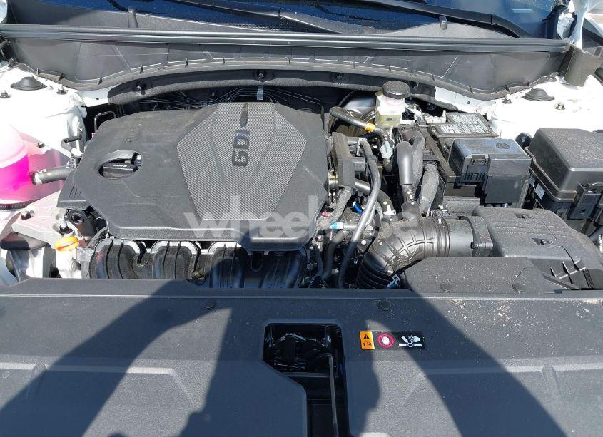 Photo 10 of 2024 Hyundai Tucson SEL (VIN 5NMJF3DE1RH403203)