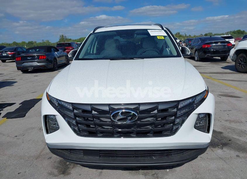 Photo 12 of 2024 Hyundai Tucson SEL (VIN 5NMJF3DE1RH403203)