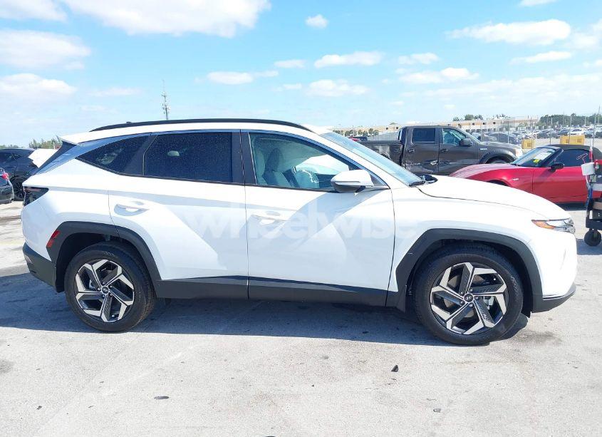 Photo 13 of 2024 Hyundai Tucson SEL (VIN 5NMJF3DE1RH403203)