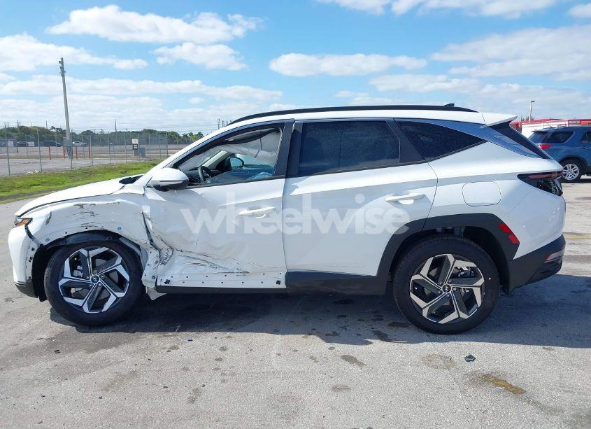 Photo 14 of 2024 Hyundai Tucson SEL (VIN 5NMJF3DE1RH403203)
