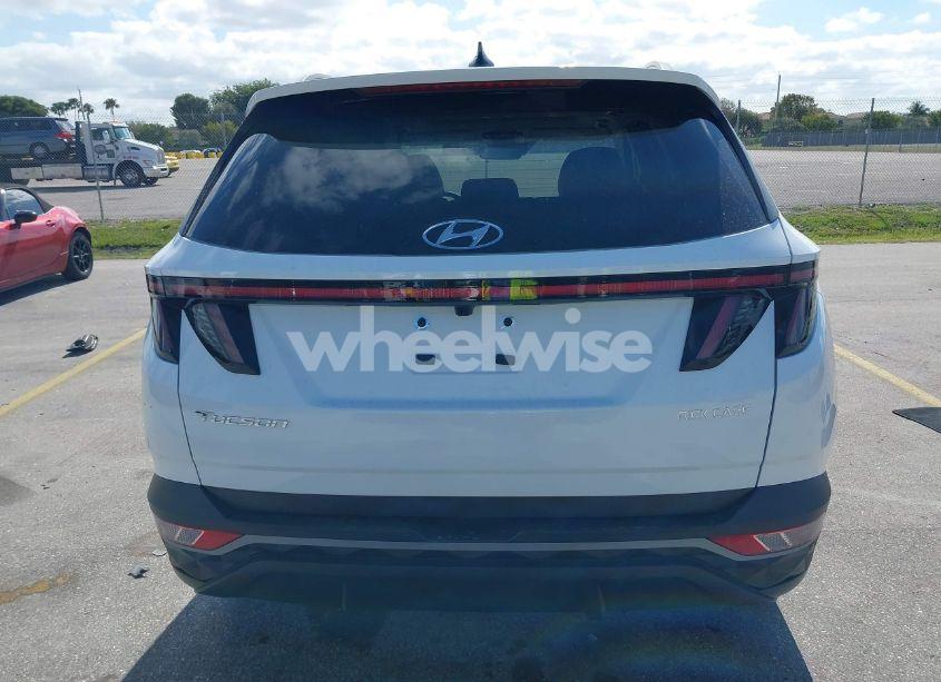 Photo 16 of 2024 Hyundai Tucson SEL (VIN 5NMJF3DE1RH403203)