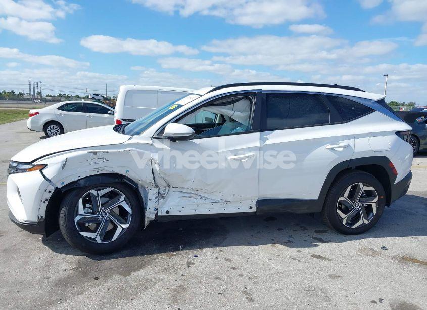 Photo 6 of 2024 Hyundai Tucson SEL (VIN 5NMJF3DE1RH403203)