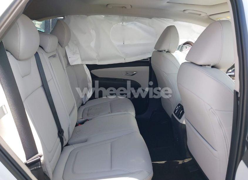 Photo 8 of 2024 Hyundai Tucson SEL (VIN 5NMJF3DE1RH403203)