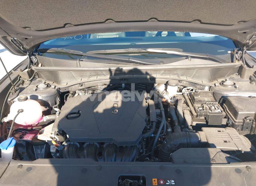 Photo 10 of 2024 Hyundai Tucson SEL (VIN 5NMJF3DE2RH337647)