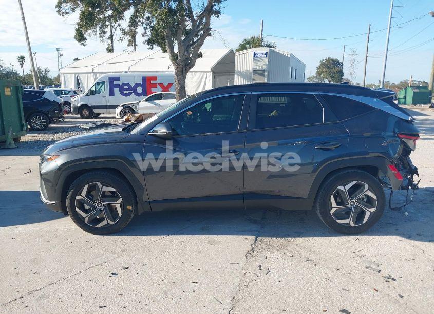 Photo 14 of 2024 Hyundai Tucson SEL (VIN 5NMJF3DE2RH337647)