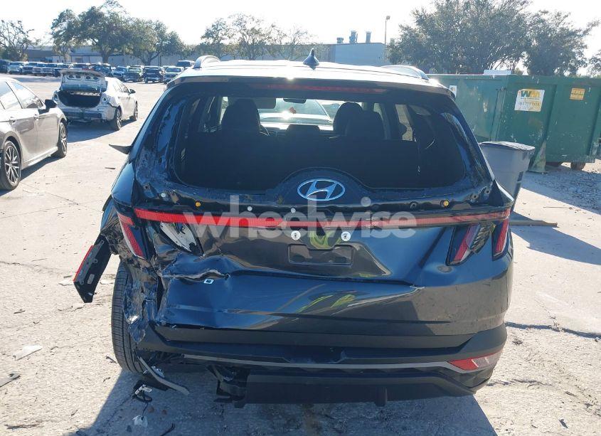 Photo 16 of 2024 Hyundai Tucson SEL (VIN 5NMJF3DE2RH337647)
