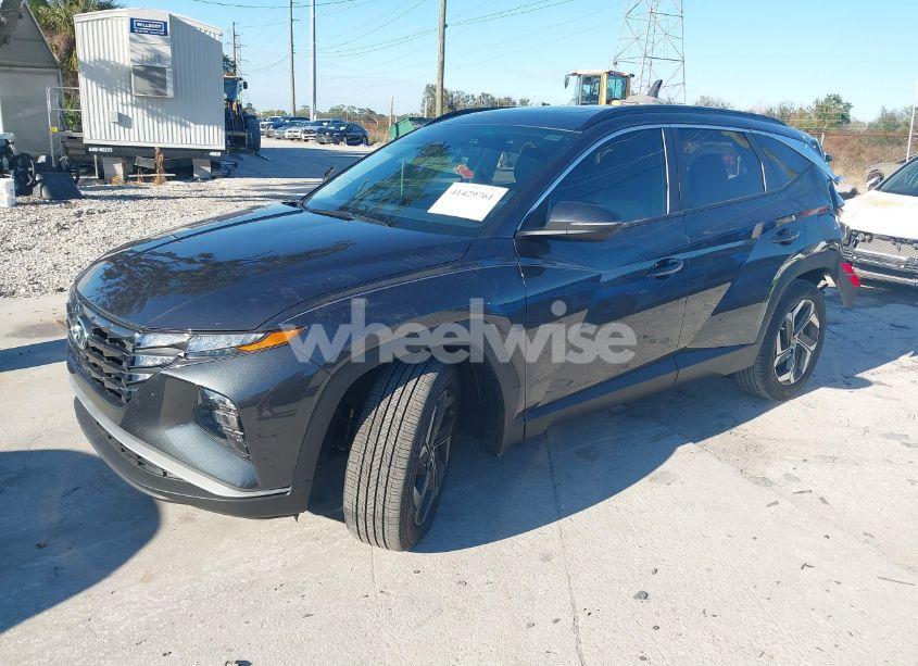 Photo 2 of 2024 Hyundai Tucson SEL (VIN 5NMJF3DE2RH337647)