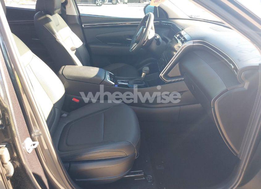 Photo 5 of 2024 Hyundai Tucson SEL (VIN 5NMJF3DE2RH337647)