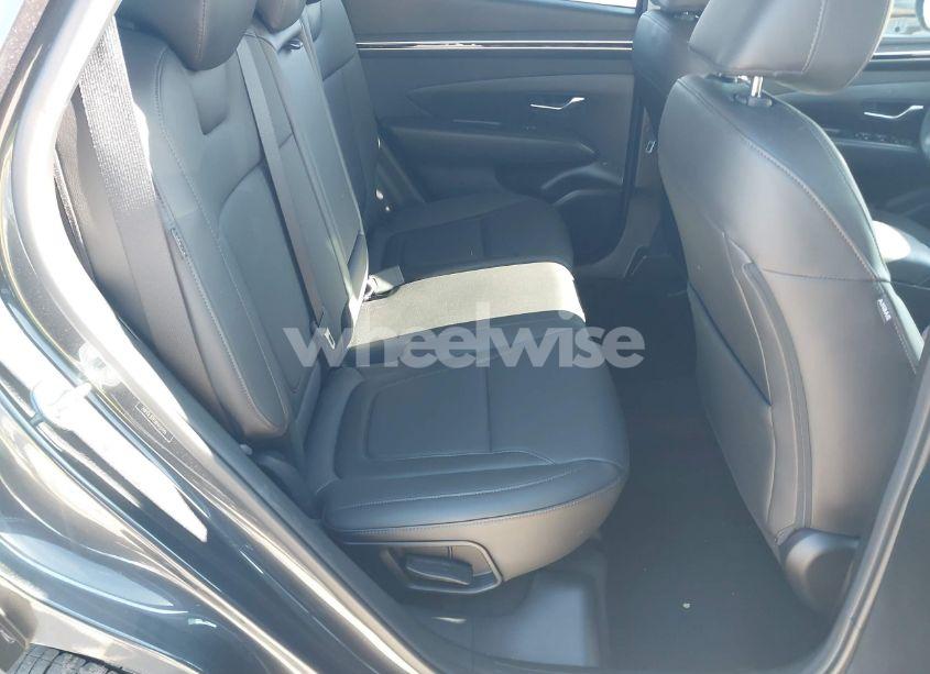 Photo 8 of 2024 Hyundai Tucson SEL (VIN 5NMJF3DE2RH337647)