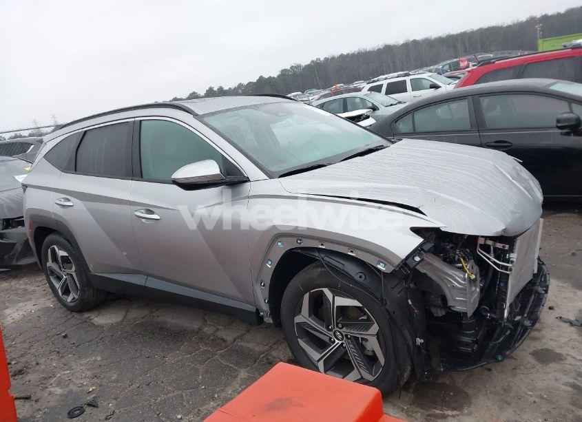 Photo 13 of 2024 Hyundai Tucson SEL (VIN 5NMJF3DE2RH348146)