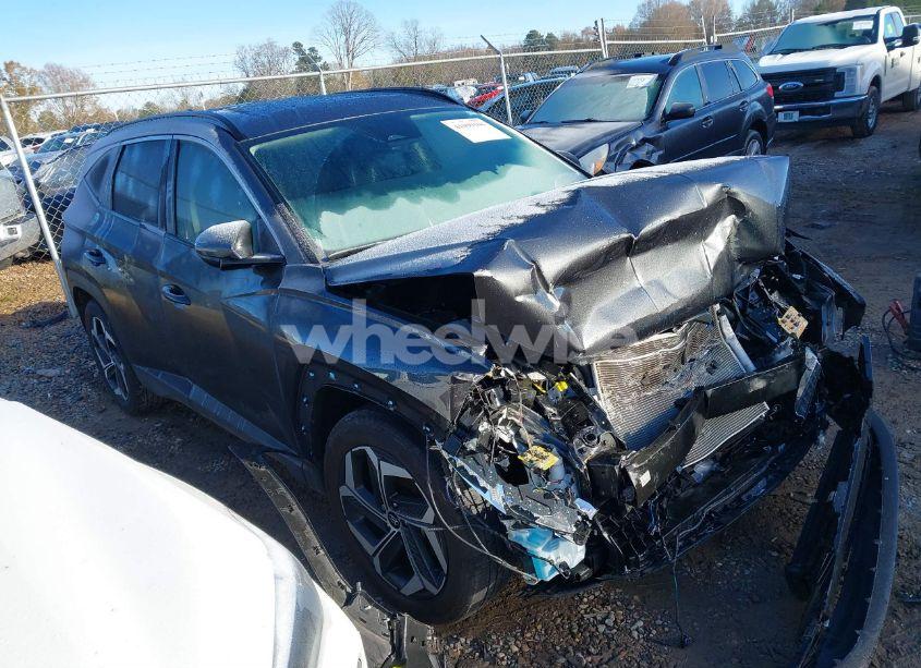 2024 Hyundai Tucson SEL (VIN 5NMJF3DE3RH309260) main photo