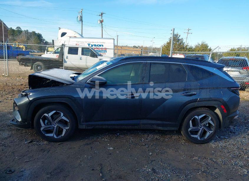 Photo 14 of 2024 Hyundai Tucson SEL (VIN 5NMJF3DE3RH309260)