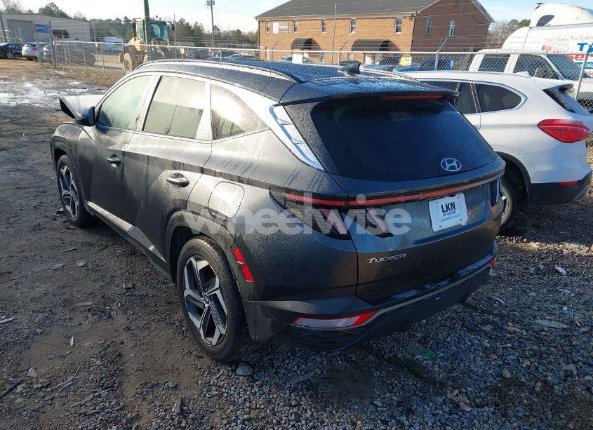 Photo 3 of 2024 Hyundai Tucson SEL (VIN 5NMJF3DE3RH309260)