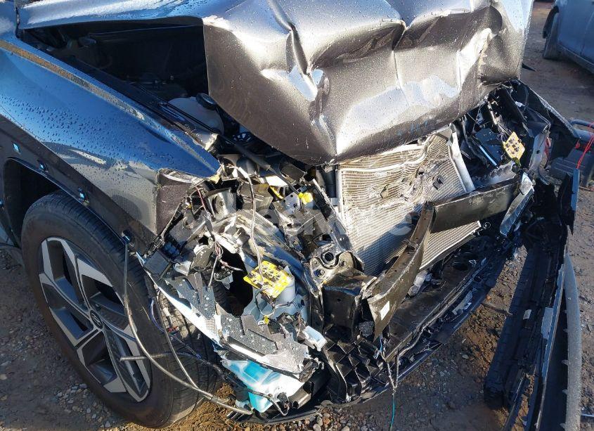 Photo 6 of 2024 Hyundai Tucson SEL (VIN 5NMJF3DE3RH309260)