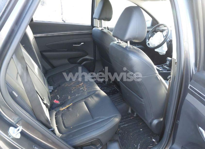 Photo 8 of 2024 Hyundai Tucson SEL (VIN 5NMJF3DE3RH309260)