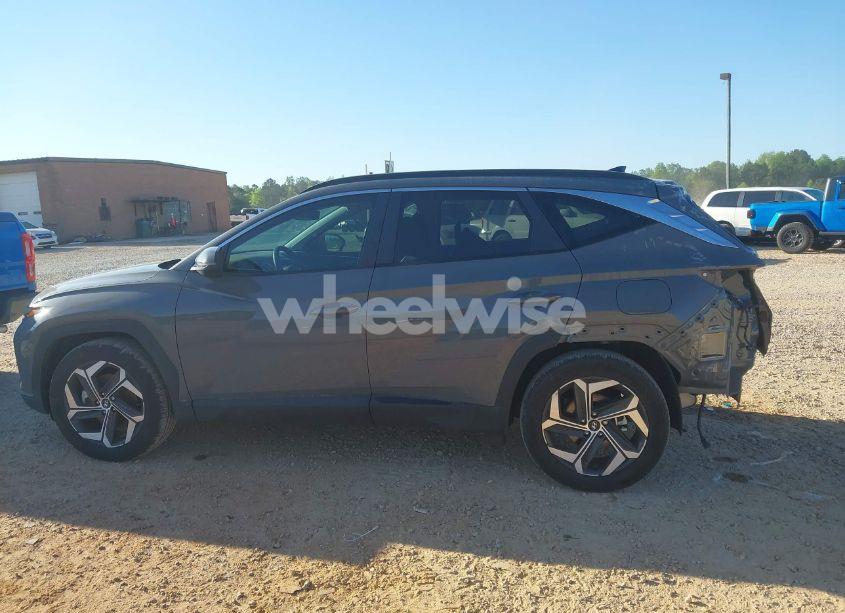Photo 14 of 2024 Hyundai Tucson SEL (VIN 5NMJF3DE3RH374156)