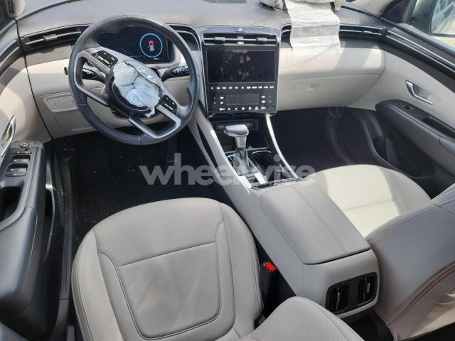 2024 HYUNDAI TUCSON SEL (VIN 5NMJF3DE4RH296566) main photo