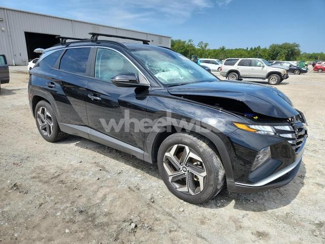 Photo 10 of 2024 HYUNDAI TUCSON SEL (VIN 5NMJF3DE4RH296566)