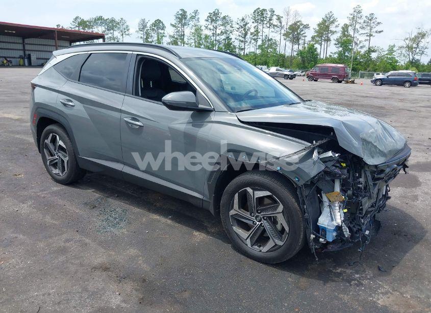2024 Hyundai Tucson SEL (VIN 5NMJF3DE4RH349430) main photo