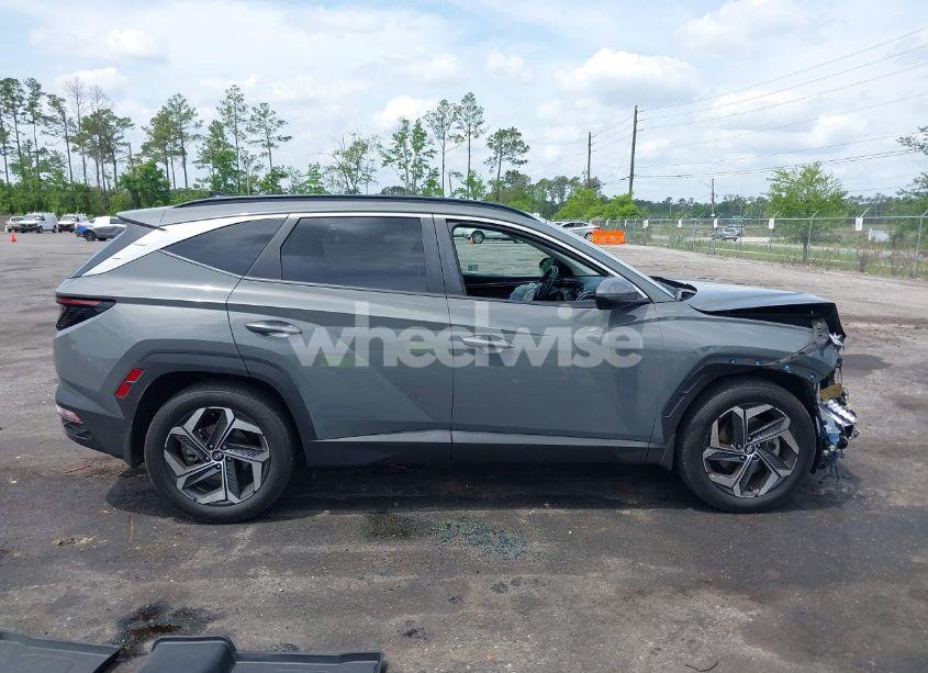 Photo 13 of 2024 Hyundai Tucson SEL (VIN 5NMJF3DE4RH349430)