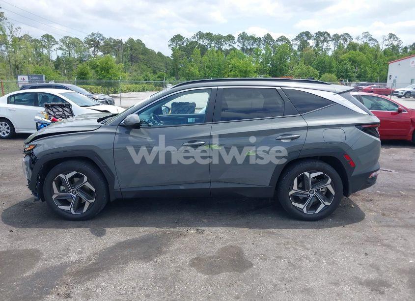 Photo 14 of 2024 Hyundai Tucson SEL (VIN 5NMJF3DE4RH349430)