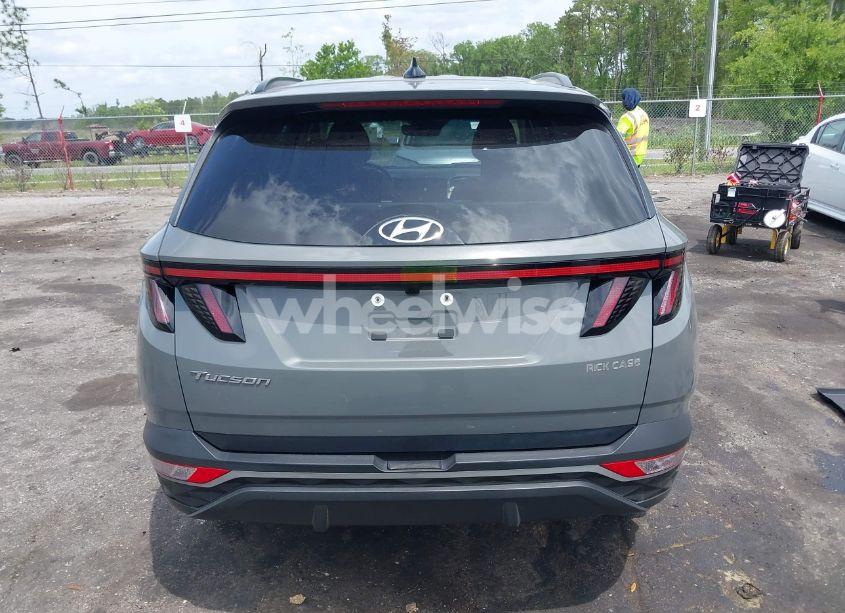 Photo 16 of 2024 Hyundai Tucson SEL (VIN 5NMJF3DE4RH349430)