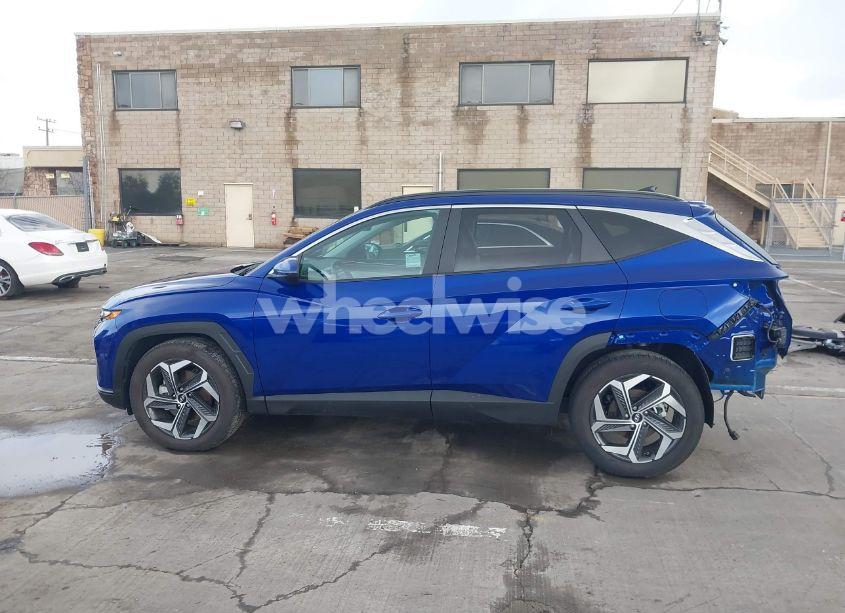 Photo 15 of 2024 Hyundai Tucson SEL (VIN 5NMJF3DE5RH305341)