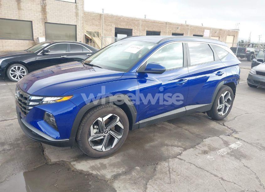 Photo 2 of 2024 Hyundai Tucson SEL (VIN 5NMJF3DE5RH305341)