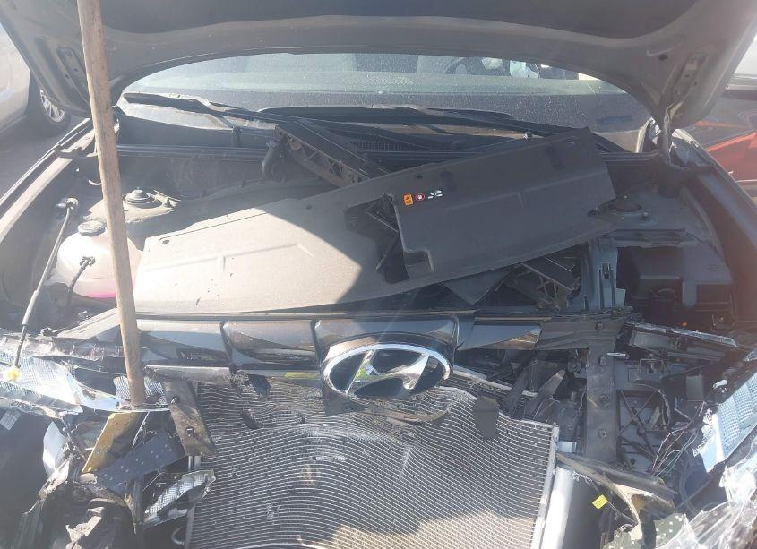 Photo 10 of 2024 Hyundai Tucson SEL (VIN 5NMJF3DE5RH329123)