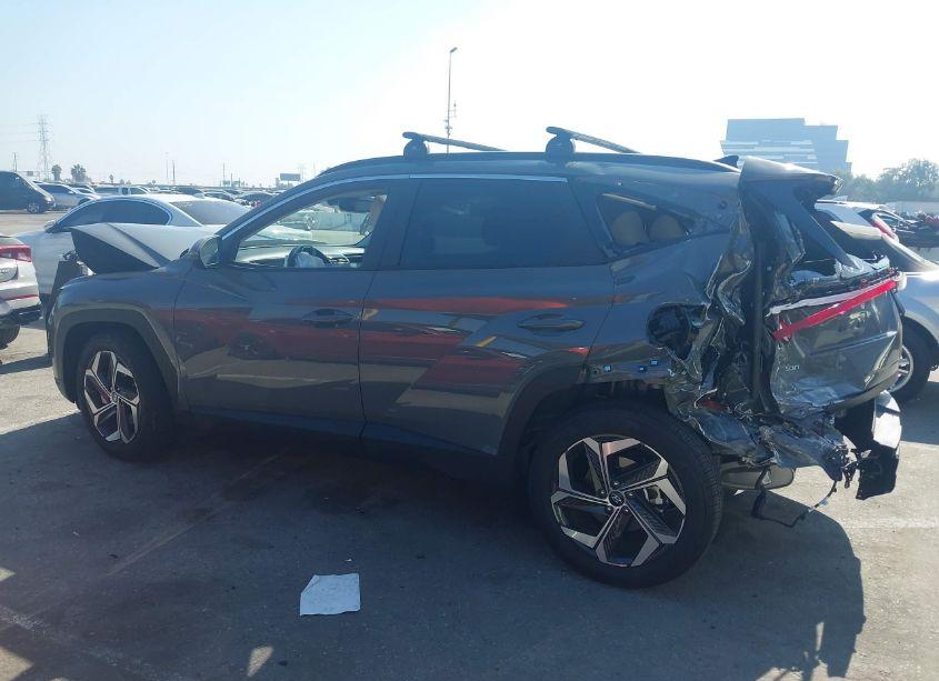 Photo 14 of 2024 Hyundai Tucson SEL (VIN 5NMJF3DE5RH329123)