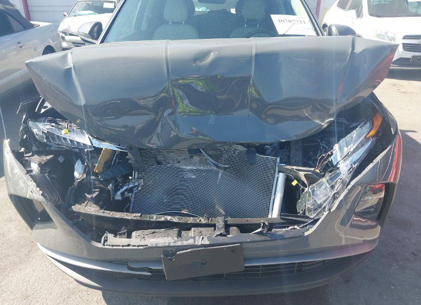 Photo 6 of 2024 Hyundai Tucson SEL (VIN 5NMJF3DE5RH329123)