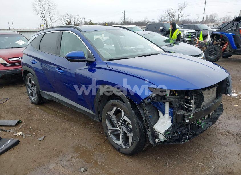 2024 Hyundai Tucson SEL (VIN 5NMJF3DE7RH301663) main photo